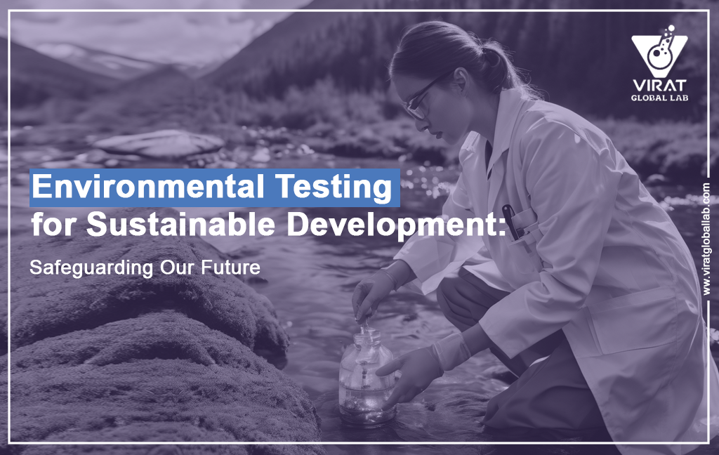 Environmental Testing for Sustainable Development: Safeguarding Our Future