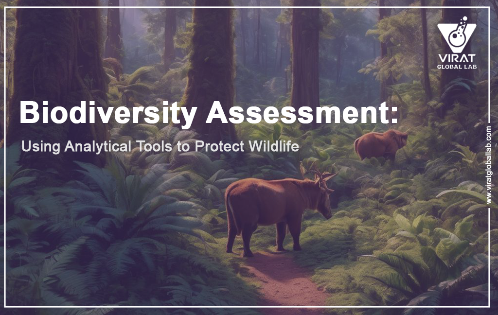 Biodiversity Assessment: Using Analytical Tools to Protect Wildlife