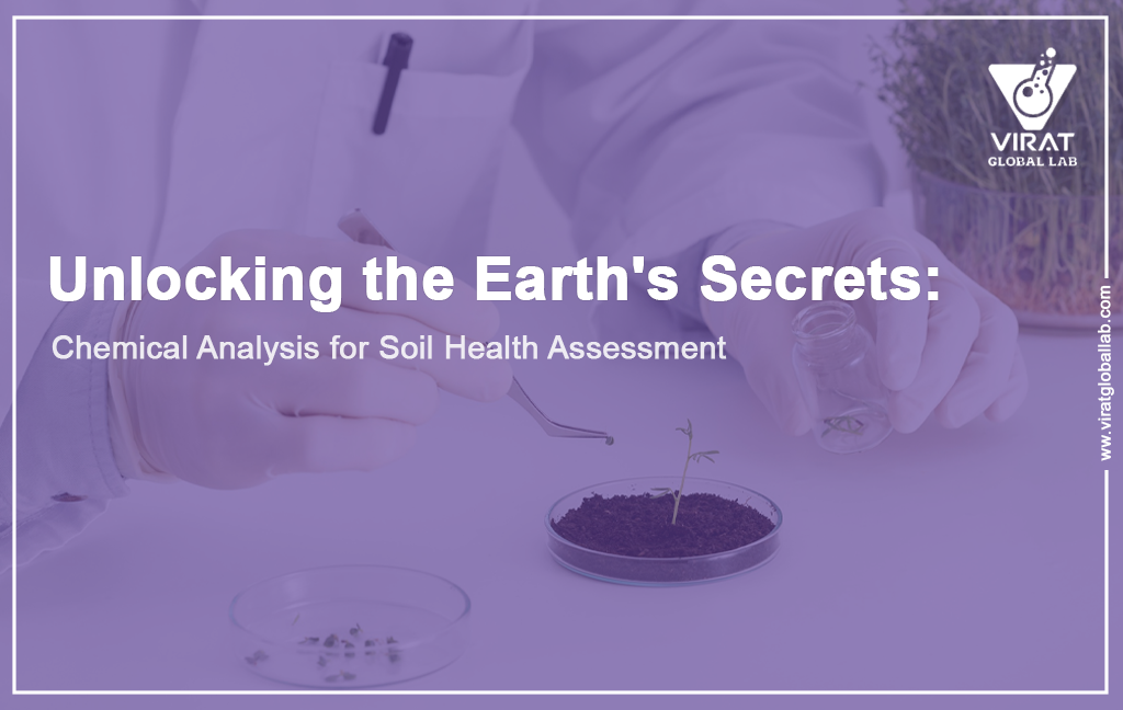 Unlocking the Earth's Secrets: Chemical Analysis for Soil Health Assessment